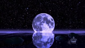 LONELY NIGHT ♔LONA