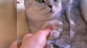 Спокойной ночи