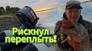 Там где водятся крокодилы. Переплыл через Обь на маленькой лодке. Охота за щукой.