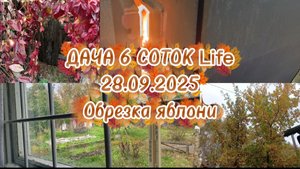 ДАЧА 6 СОТОК Life//ОБРЕЗАЛИ ЯБЛОНЮ//ЗАКРЫЛИ ОТ МОРОЗА ГРЯДКИ С ЧЕСНОКА И ЛУКА НА ЗЕЛЕНЬ