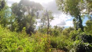 сорвётся нить