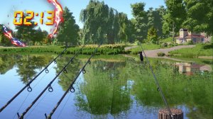 проверка чата