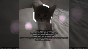 Давайте знакомиться меня зовут Ариана а вас?