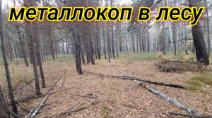 Металлокоп возле бывшего карьера в лесопосадке