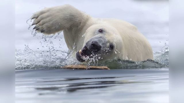 Быть хорошим человеком (я автор текста, поёт нейросеть) .mp4 смотреть онлайн