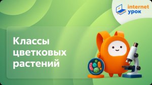 Классы цветковых растений. Видеоурок по биологии 6 класс