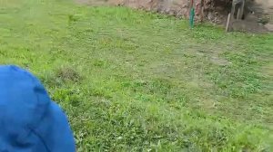 Чемпионат России по мотокроссу в г. Прокопьевске. Трофи батл. Опасная мото трасса