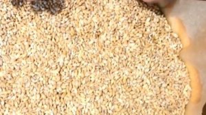 Клубничный тарт с заварным кремом