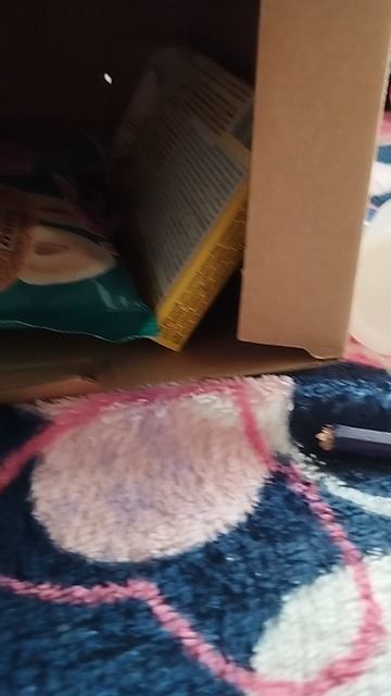 1000003080.mp4 смотреть онлайн