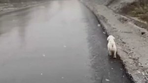 На Урале полнейший джинглбеллз — сегодня только 28 сентября, а регион уже завалило снегом.