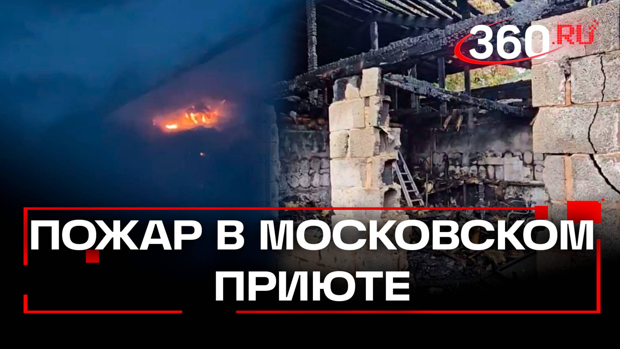 Трагедия в московском приюте: в пожаре погибло 13 собак