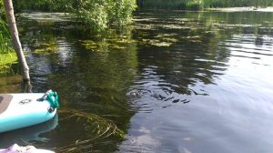 Заплыв по речке Ранова