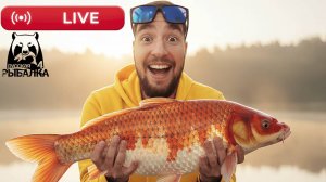 🔴 РР4 СТРИМ | НОВЫЕ ТОЧКИ для Фарма! РОЗЫГРЫШ Каждые 20 минут