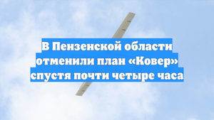 В Пензенской области отменили план «Ковер» спустя почти четыре часа