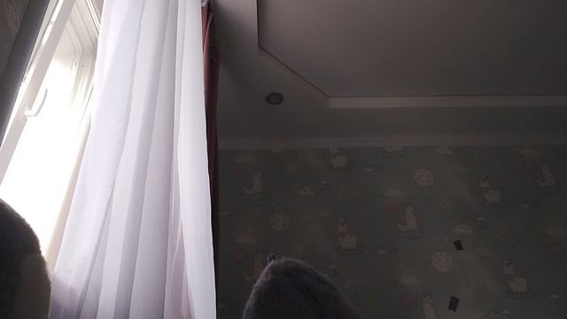 1000003087.mp4 смотреть онлайн