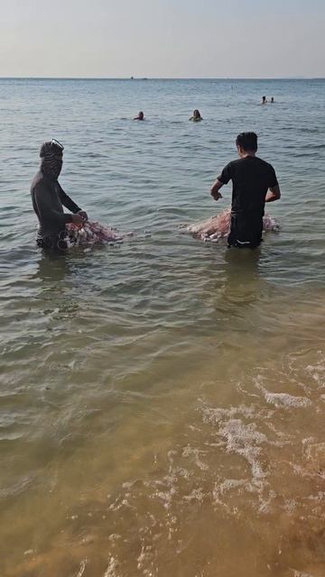 #shorts #вьетнам #фукуок Рыбалка на о.Фукуок смотреть онлайн