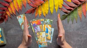 Состоится ли встреча?