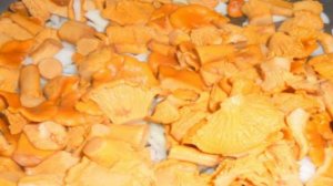 Лисички в сметане