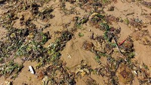 Магадан, парк Маяк