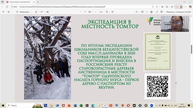Священные деревья Якутии