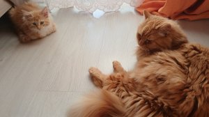Две рыжушки😍😍😍 Майкун это переворот всего😁