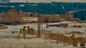 104. Пальмира, Сирия