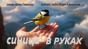 синица в руках
