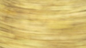 побег от маньяка из леса