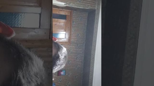 Ртр