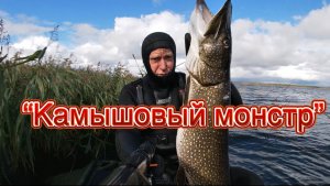 «Камышовый монстр» фильм N10 подводная охота сезона 2025