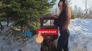 Сказочная кормушка-мишка из большого бревна _Лена Карвинг