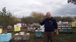 о том о сём