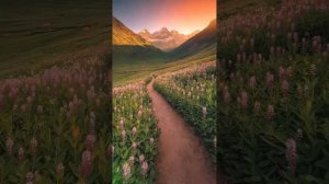 непутевая Руки