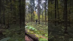 Езда по бездорожью, советы от Джипдром.рф. Мы вам поможем.
Обучаю в теории и сразу на практике