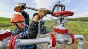 За последние дни нефть подорожала, а стоимость дизельного топлива в Европе достигла максимальных уро