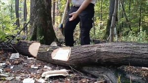 24.09.25 ПОРУБАС #46