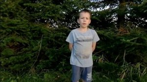 Николай Рубцов "После посещения зоопарка".