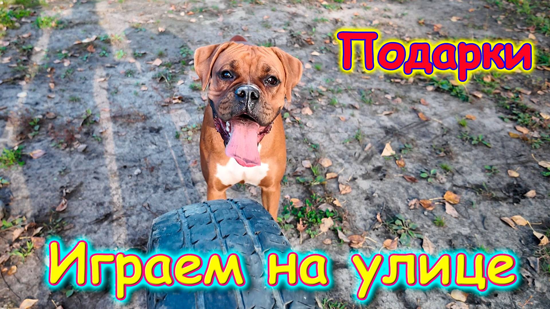 Подарки от зрителей. Играем. Новые игрушки Джесси. Готовлю. (09.25г.) Семья Бровченко.