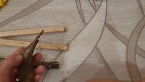 Расскажу вам, что нужно, чтобы обустроить клетку у крысы и как о ней заботиться.