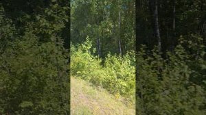 20.06.2025г, я на Базе отдыха Байкал МО РФ, экскурсия