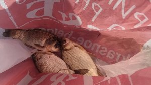 Прикол только сделайте звук на всю громкость