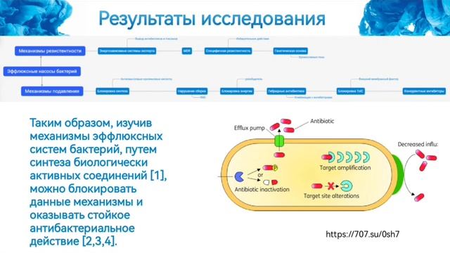 Роль ингибиторов эффлюксных помп в снижении антибиотикорезистентности микроорганизмов. Хаётов М.М.