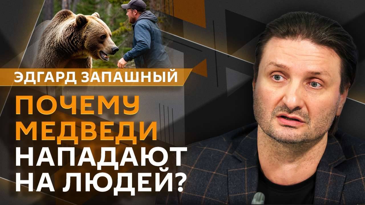 Эдгард Запашный. Спасение от хищников, запрет на вход в кафе с собаками, очистка морей