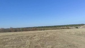 28.09 2025 первая тренировка спортивных голубей