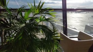 Внимание обман КОРАЛ ТРЕВЕЛ бизнес зал Малевич перелет Аэрофлотом связь в Таиланде