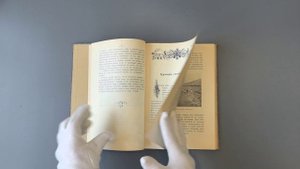 Васильковский П.Е. Диковинки земли. Популярные очерки из жизни нашей планеты (Книга 1913г.)