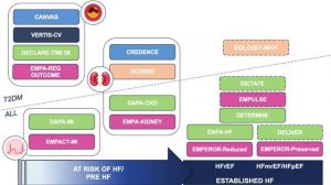 SGLT2: Диабет, который перевернул кардиологию – от профилактики до лечения всех форм СН. 19.09.2025