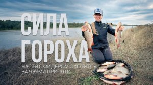 ЯЗИ на фидер! Рыбалка мечты на реке Припять. Лещ и язи на горох!