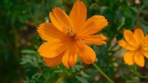 22==09==2025  ПВН  КМР   (287)