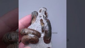 InShot_20250928_233035845.mp4